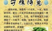 守株待兔新编
