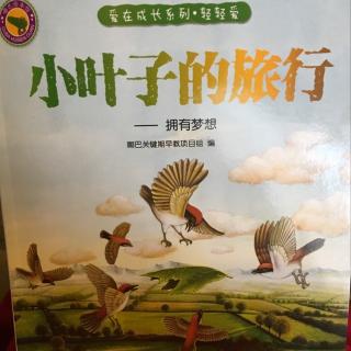 小叶旅行