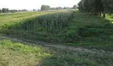 家乡的那条小路