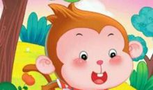 知错就改的猴子