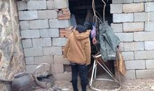 舅奶奶家的动物们