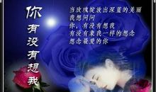 写给最珍贵的你