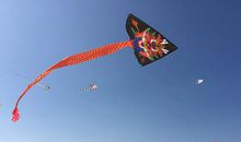 又是三月风筝起