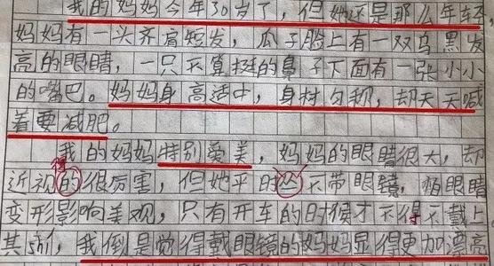 如果我可以成为小学生