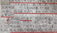 如果能在做一回小学生