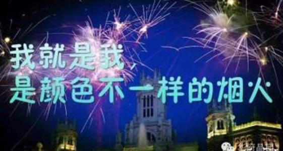 我是我的烟花