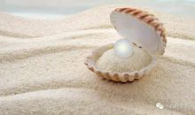 拾起心灵的珍珠