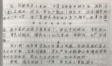 关于优势的议论文