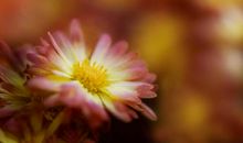 生命中最重要的人