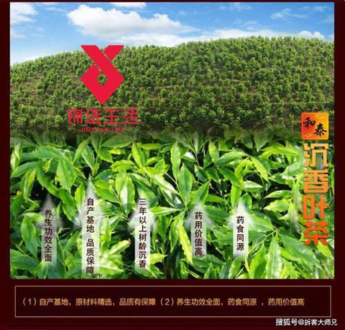 种植使生活更美好