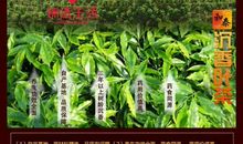 种植让生活更美好