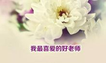 我喜欢的好老师