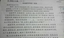 给沈石溪爷爷的一封信