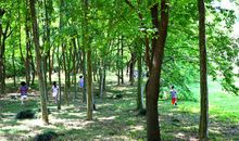 大自然也是学校