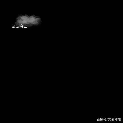 冰箱的自述文件