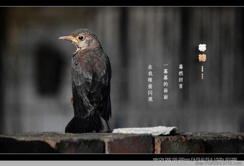 等待的力量