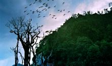 《天上的城》诗歌