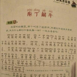 看完保罗丁牛