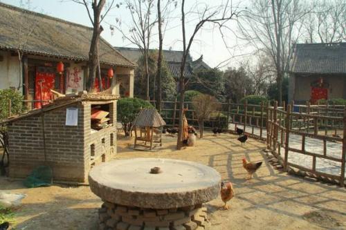 奶奶的后院