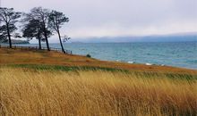 大自然就在我们手中