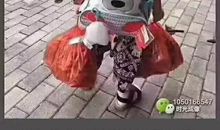 原来我如此聪明