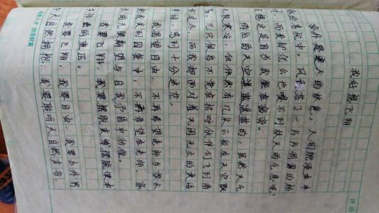 我最喜欢的水果成分200字