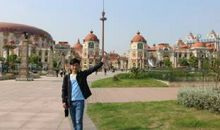 最后的马王读后感