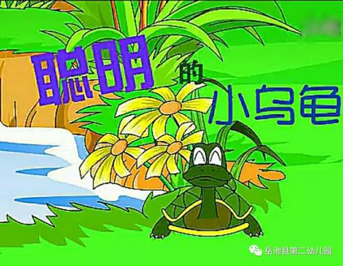 我爱小乌龟