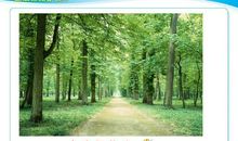 我的路，我选择