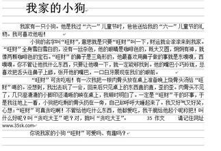 我的小狗作文200字