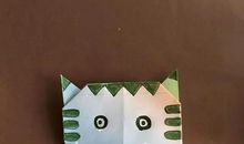 会游泳的鸡蛋实验作文