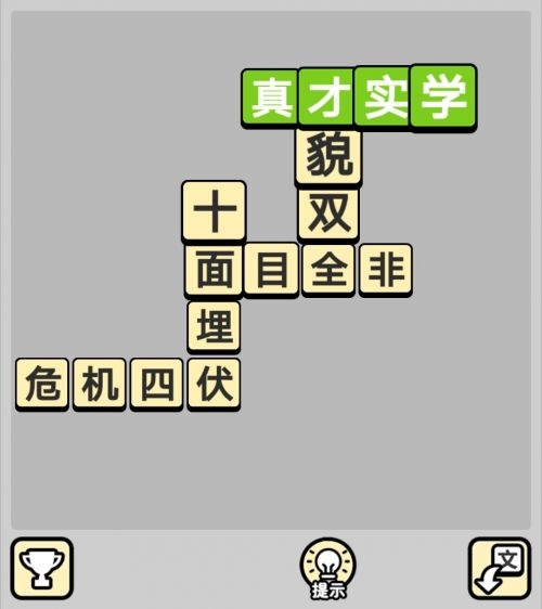 无法识别的成语