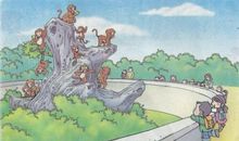 小猴捞球看图写话