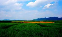 乡村的美丽风景