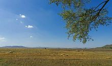 外婆，风景和我