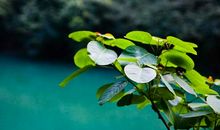 不会变的是思念