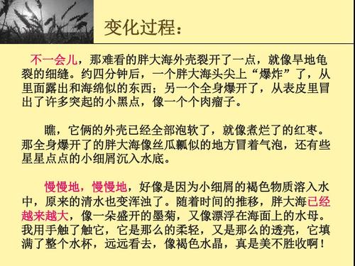 观察神奇的胖海成分