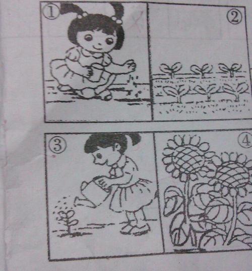 小学二年级看图片写关于蛋壳的事