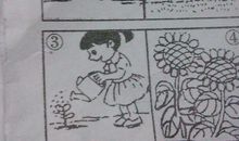 二年级看图写话蛋壳