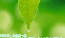 珍惜自然资源，共营生命绿色