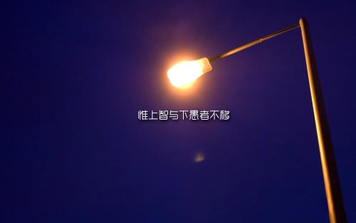 坚持就是成功