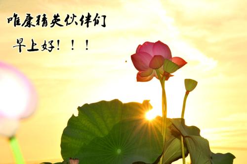 关于阅读《鹰与蜗牛》的思考