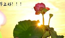 《老鹰和蜗牛》读后感