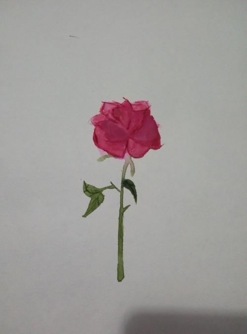 为母亲做一朵花