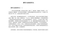 小金鱼作文三年级