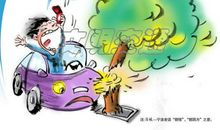 生命只有一次，请文明出行