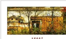 又是一年秋来时作文