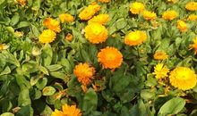 有音乐的生活真好