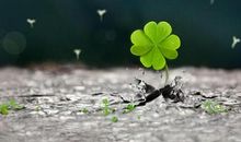 为别人多带一份