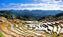 乡村的四季美景